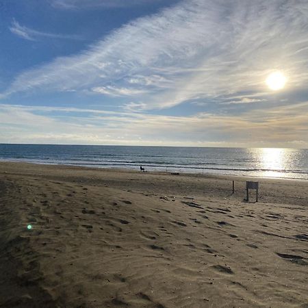 Appartamento Vista Mare A Marina Di Ardea L'Americano المظهر الخارجي الصورة